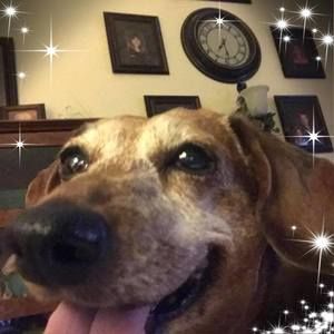 Meet your Posher, Jan